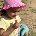 Opération potager à la crèche de d’Alzon