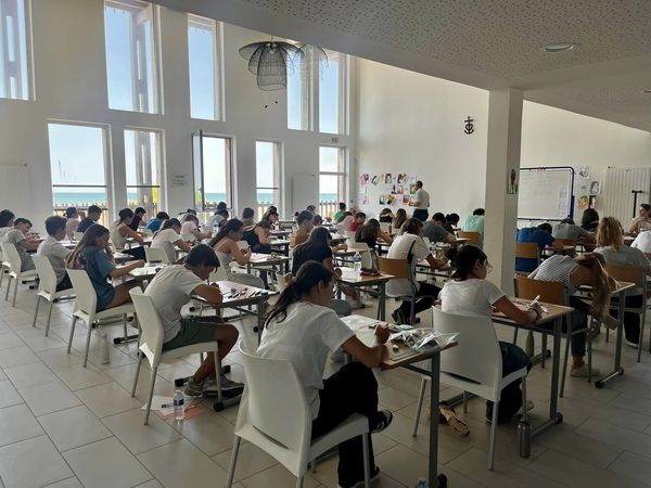 brevet des collèges 2023